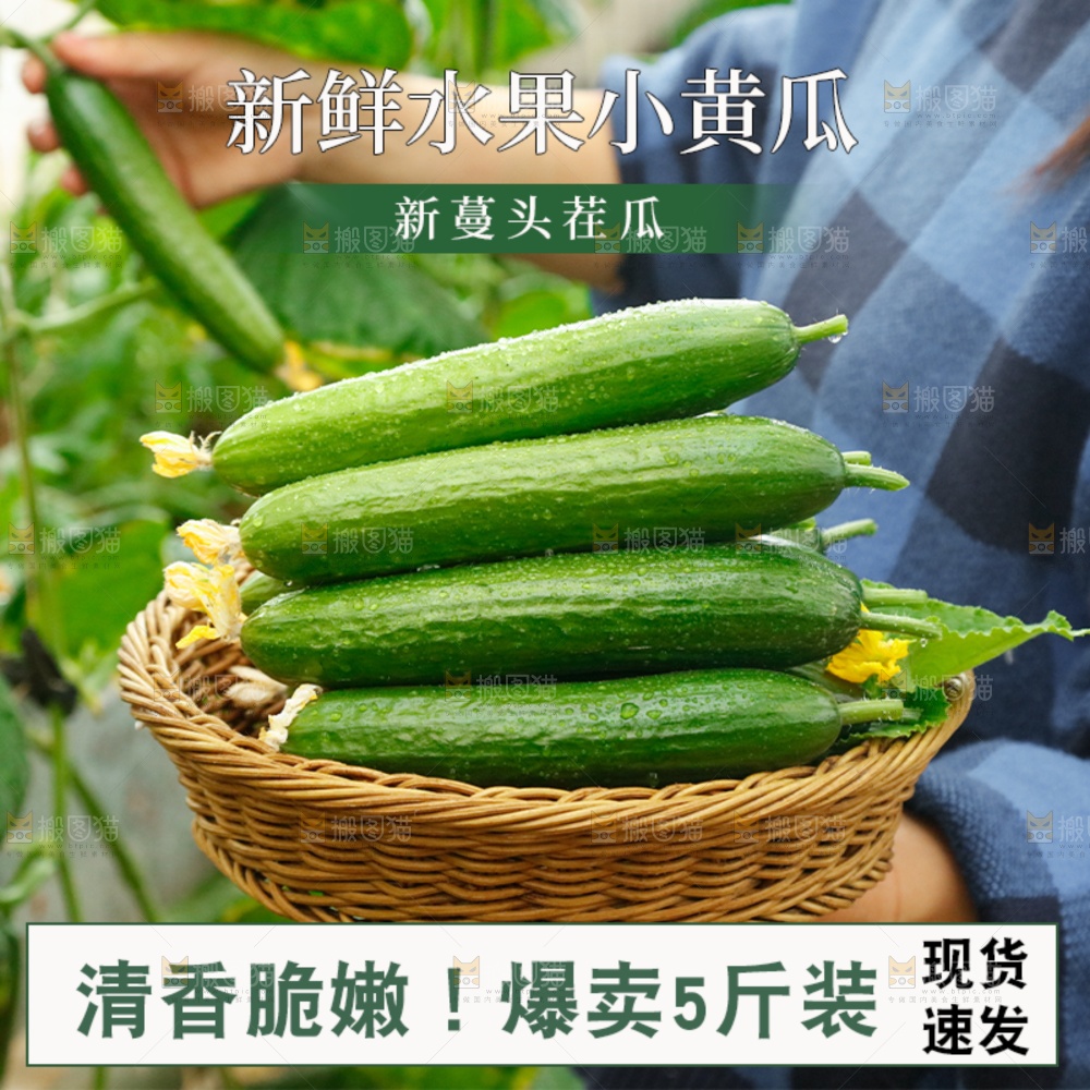 水果黄瓜主图