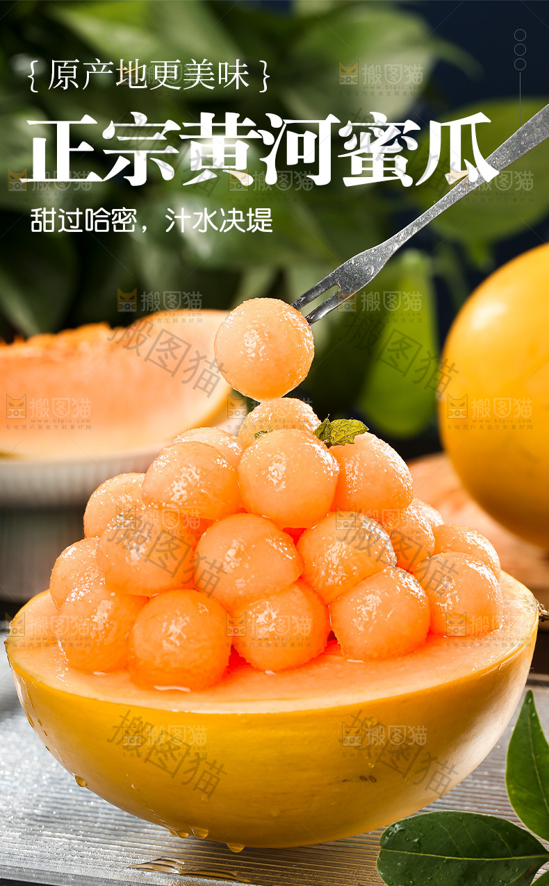 黄河蜜瓜详情页