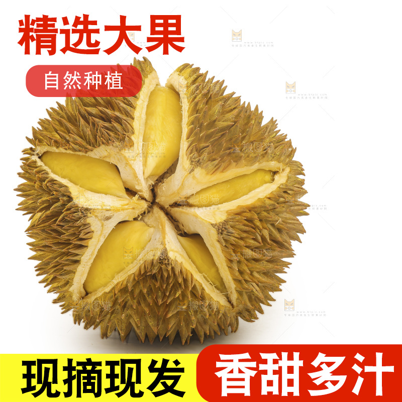 金枕榴莲