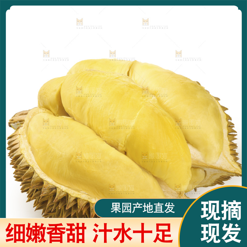 金枕榴莲