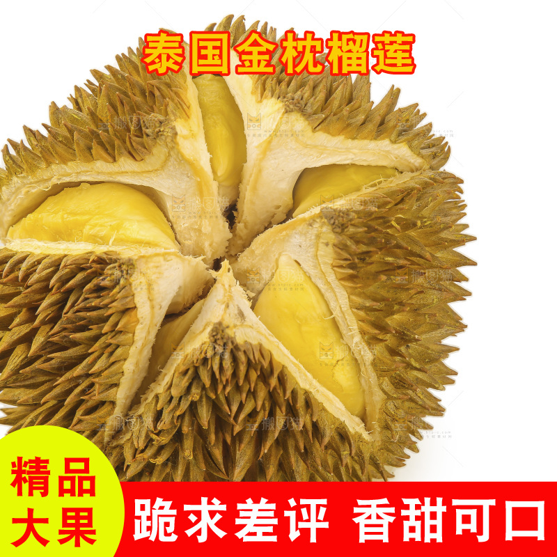 金枕榴莲
