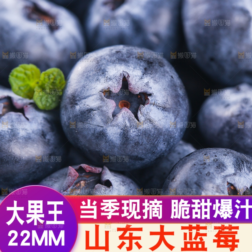 蓝莓主图