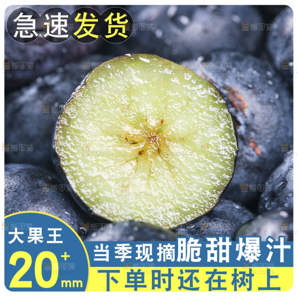 蓝莓主图