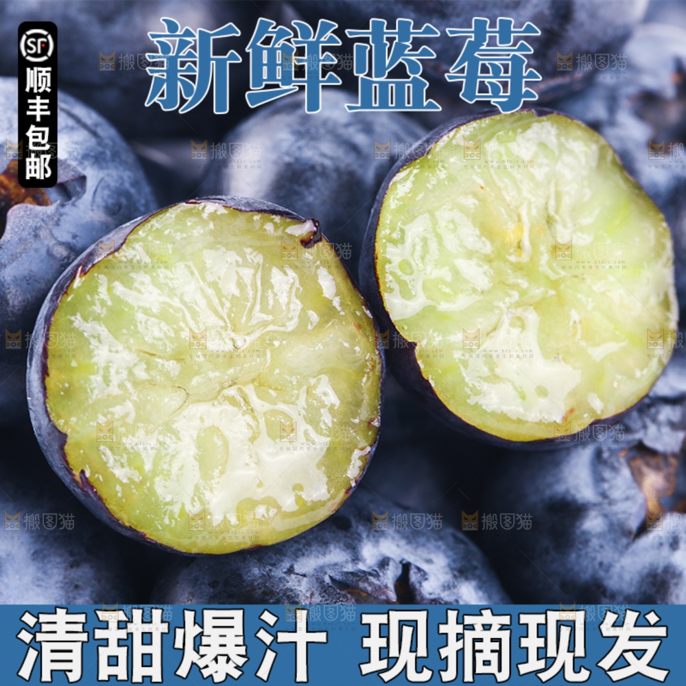 蓝莓主图