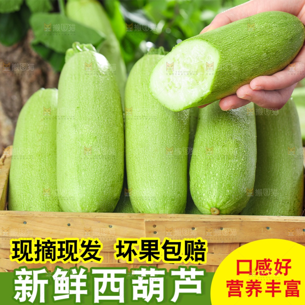 西葫芦主图