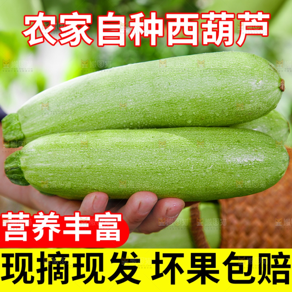 西葫芦主图