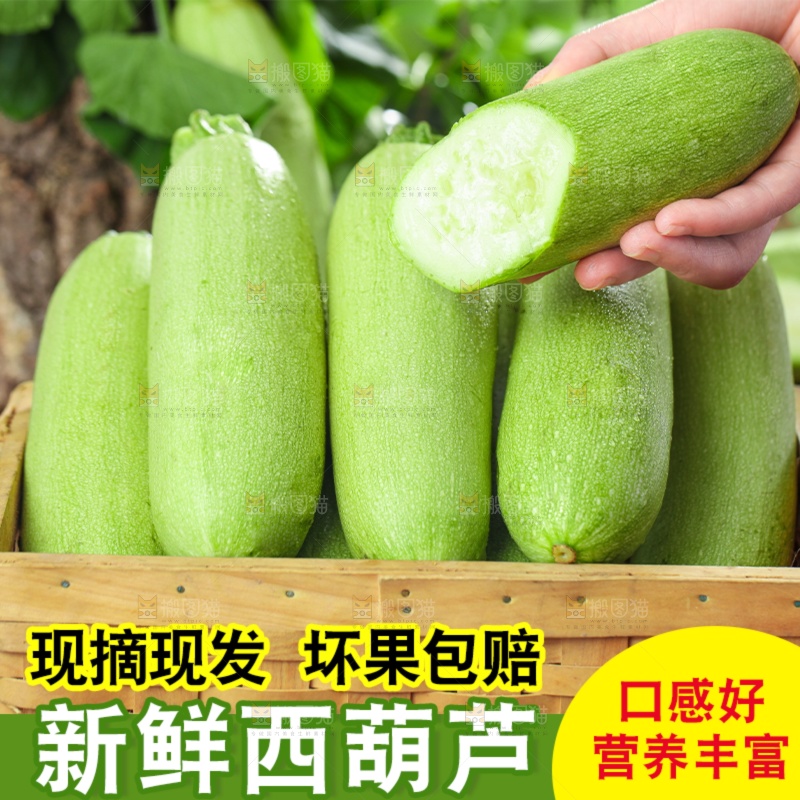 西葫芦主图