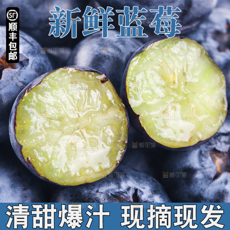 蓝莓主图