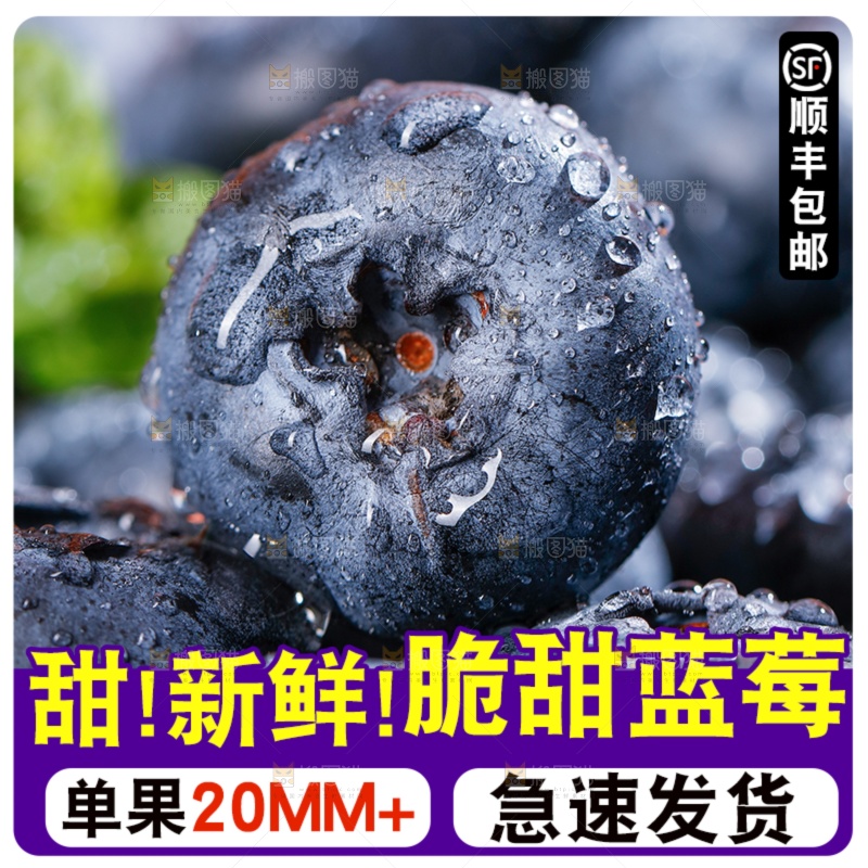 蓝莓主图