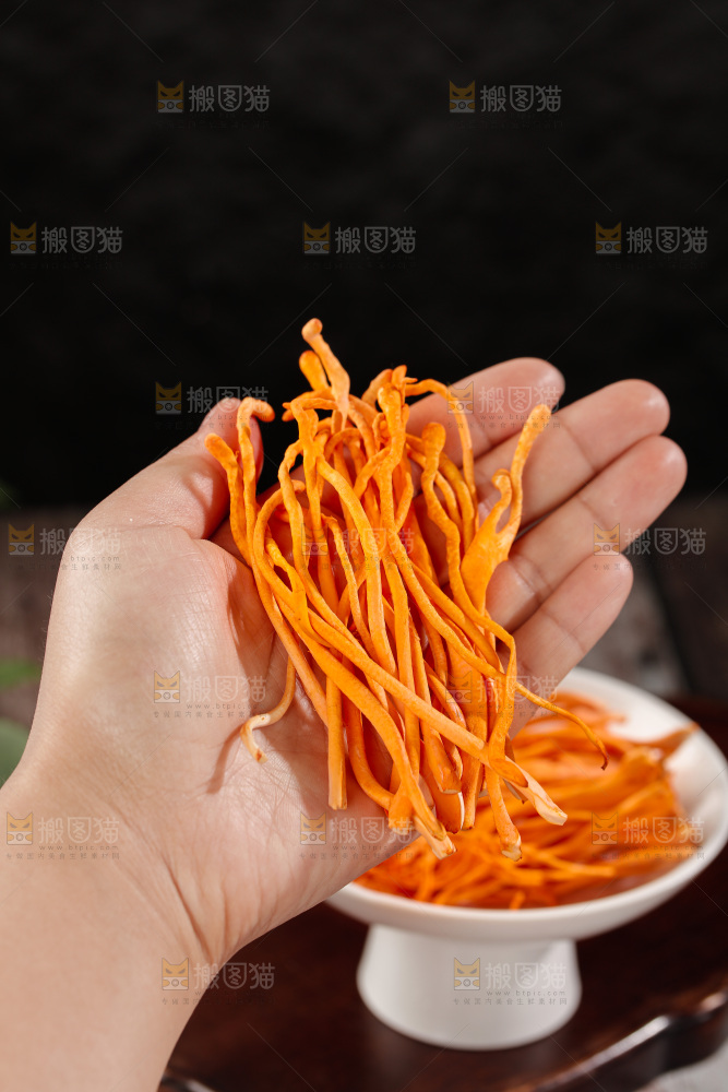 虫草花