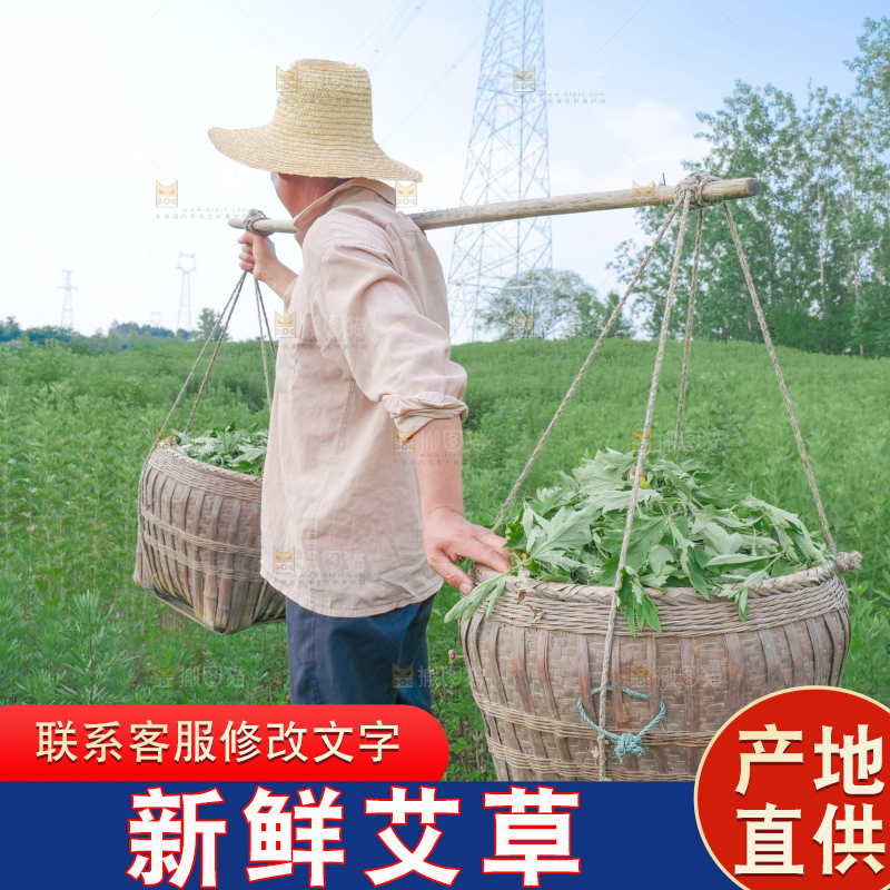 艾草