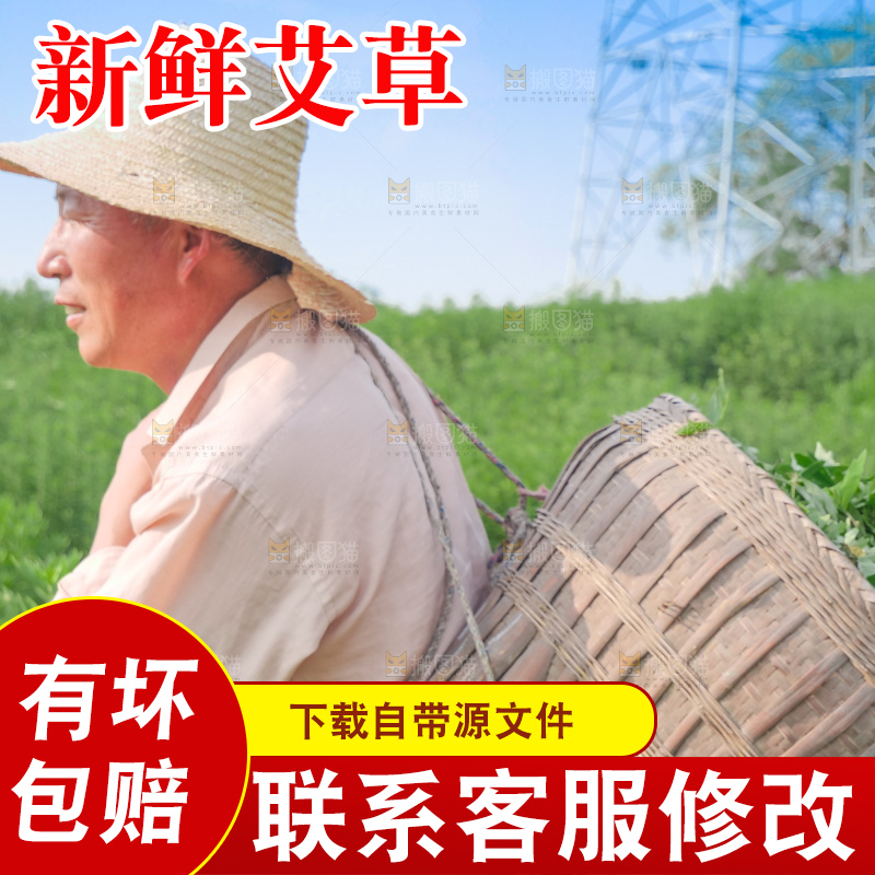 艾草
