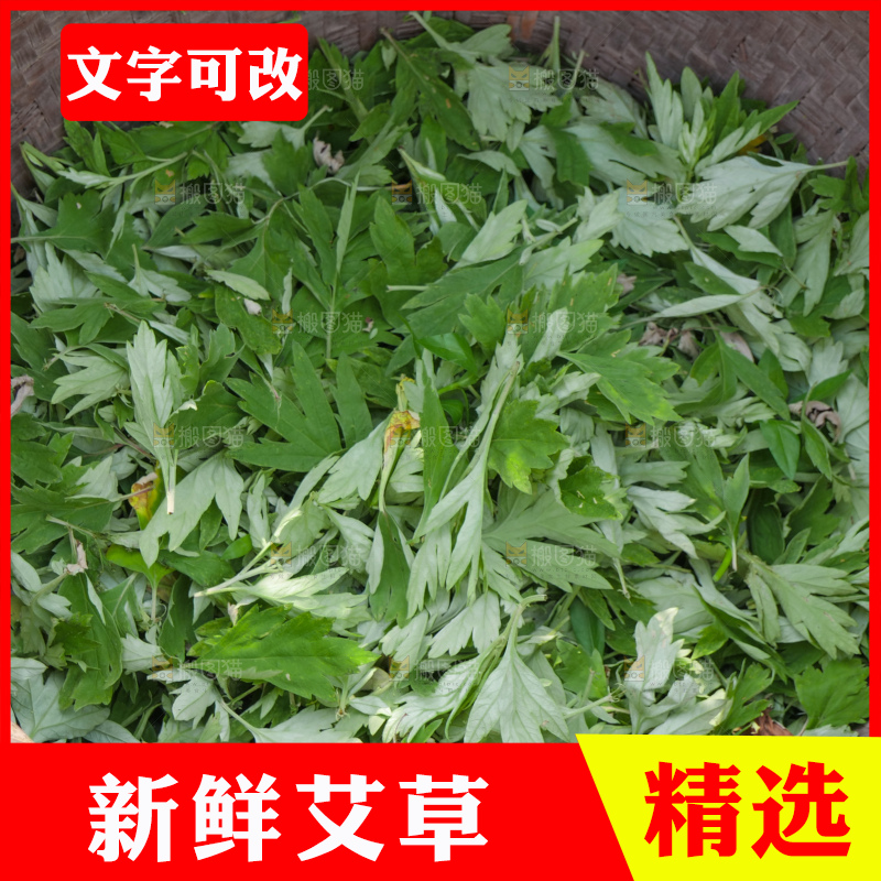 艾草