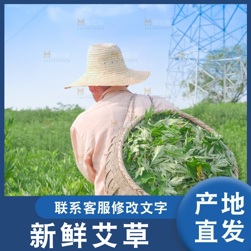 艾草