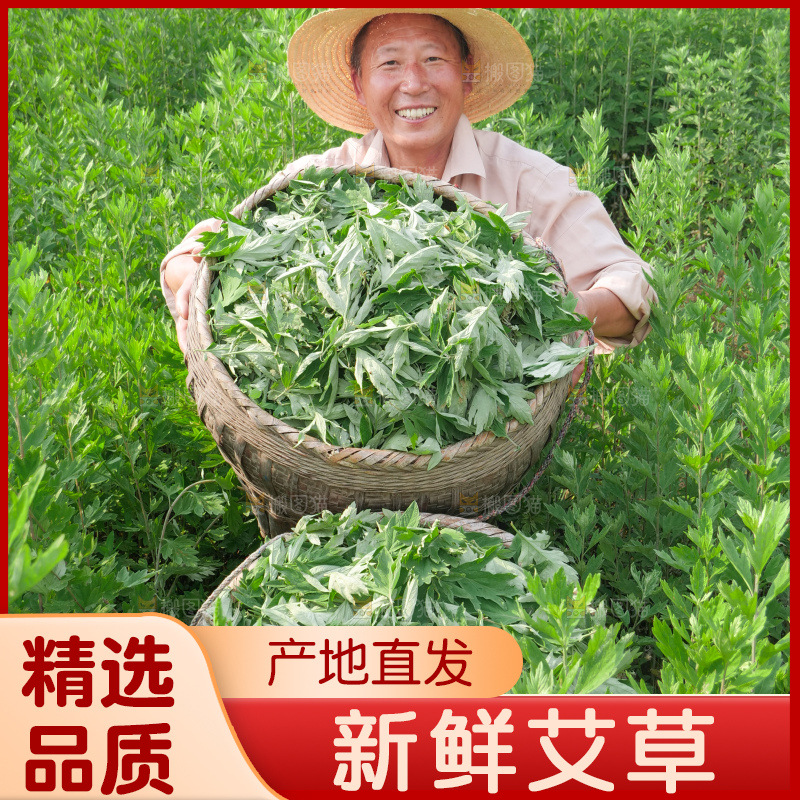 艾草