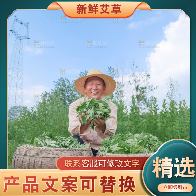 艾草