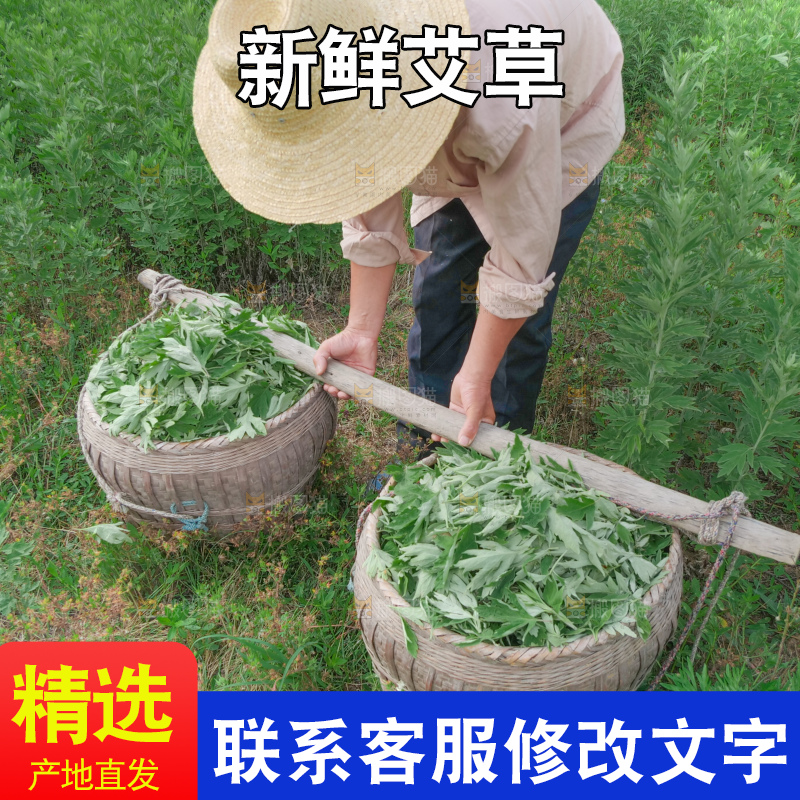 艾草