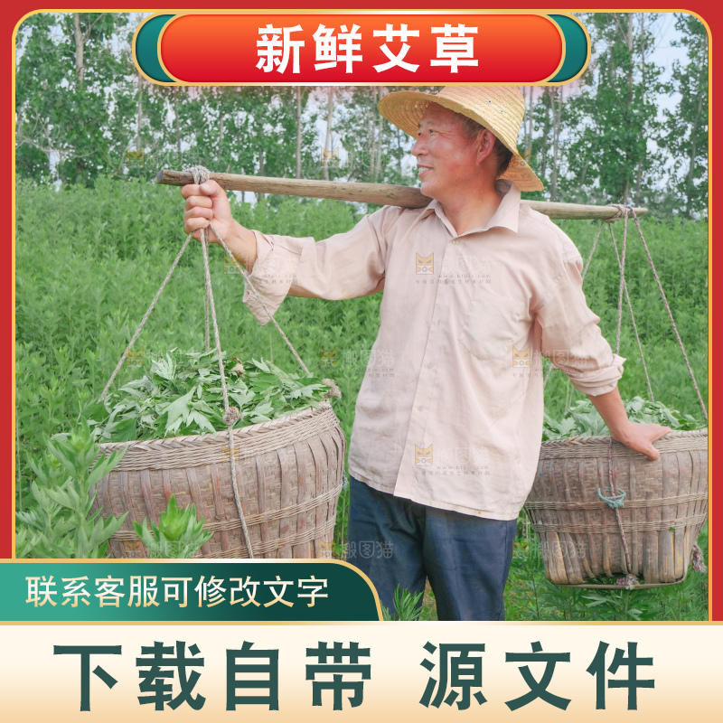 艾草