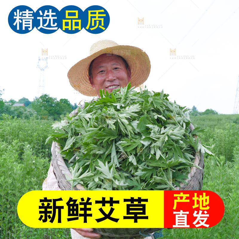 艾草