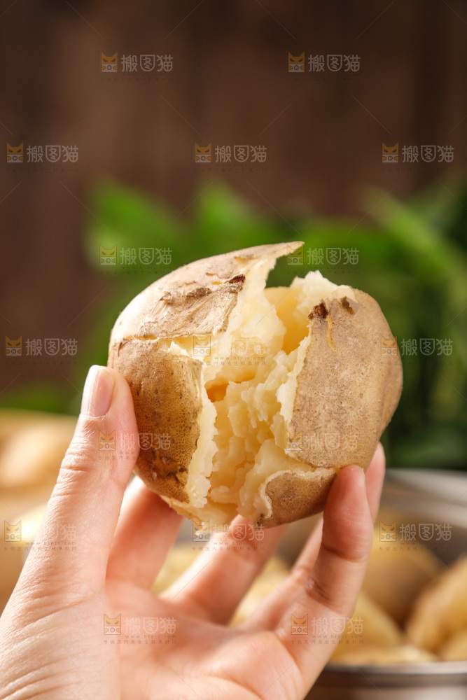 土豆