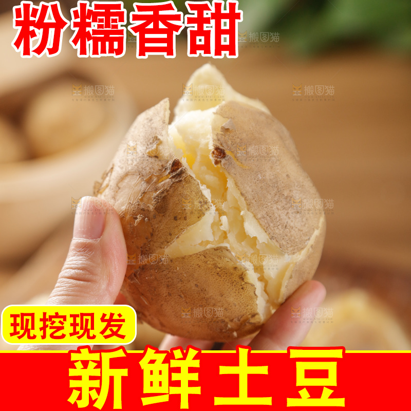 土豆