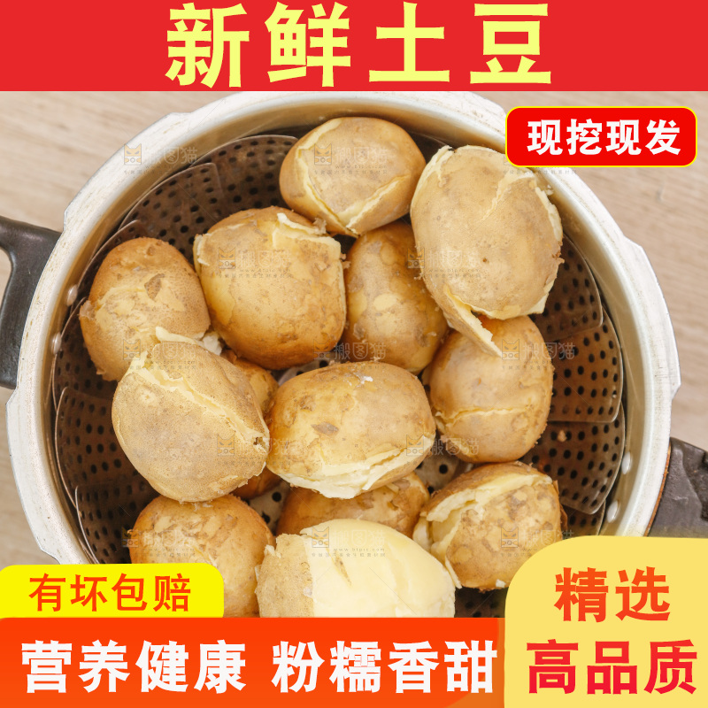 土豆