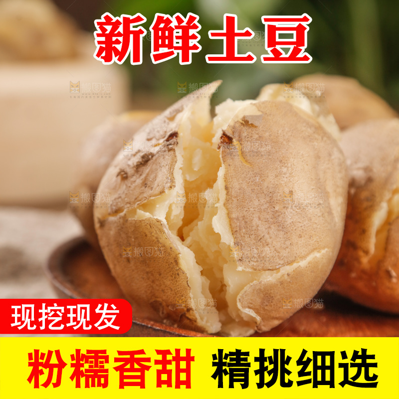 土豆