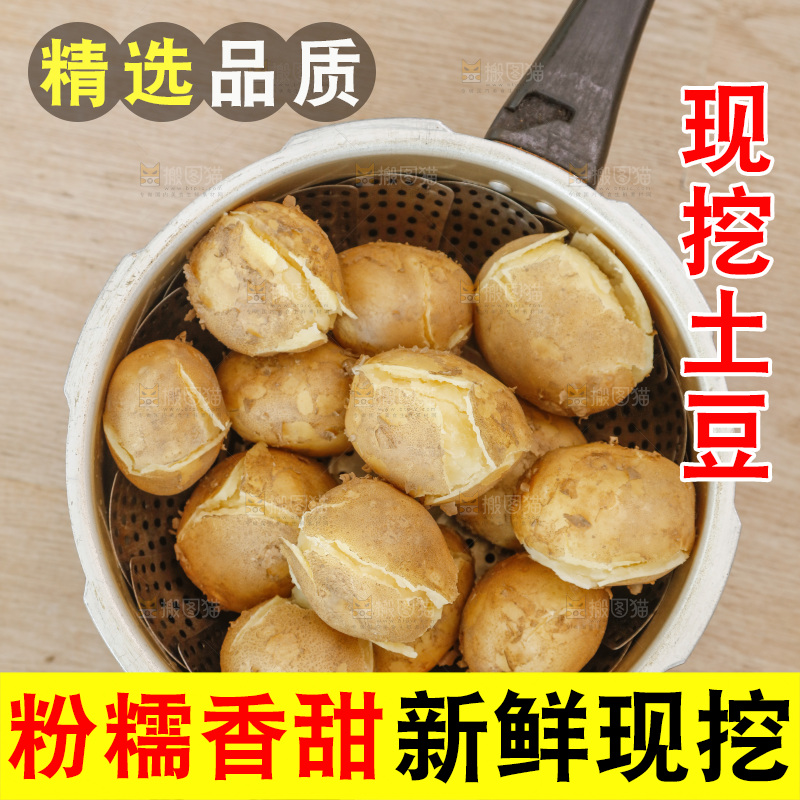 土豆