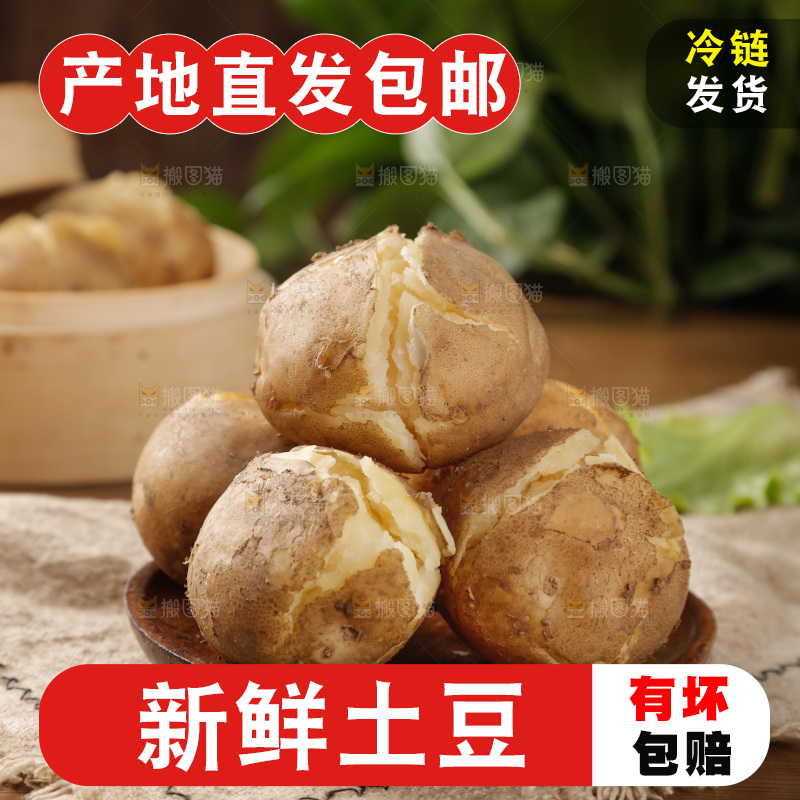土豆