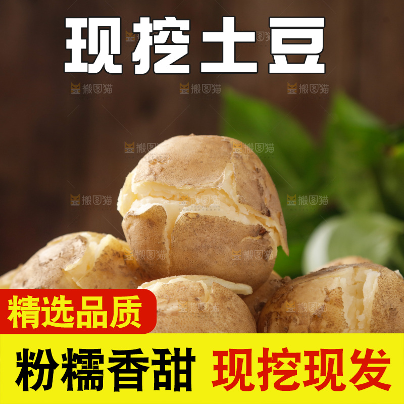 土豆