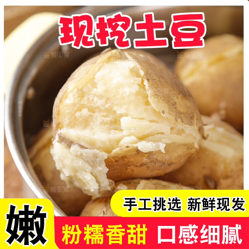 土豆