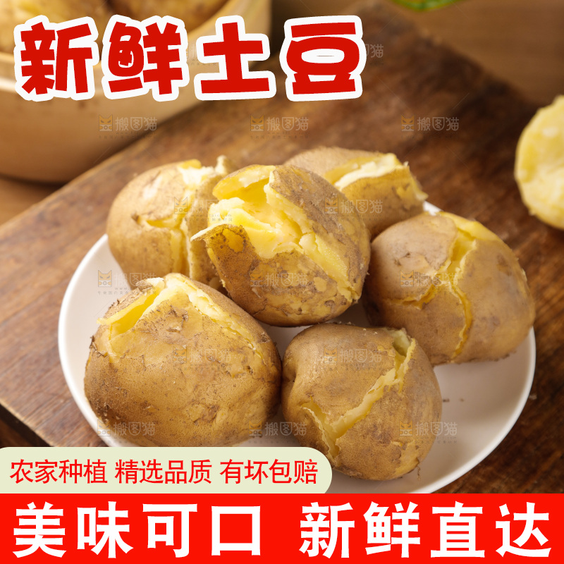 土豆