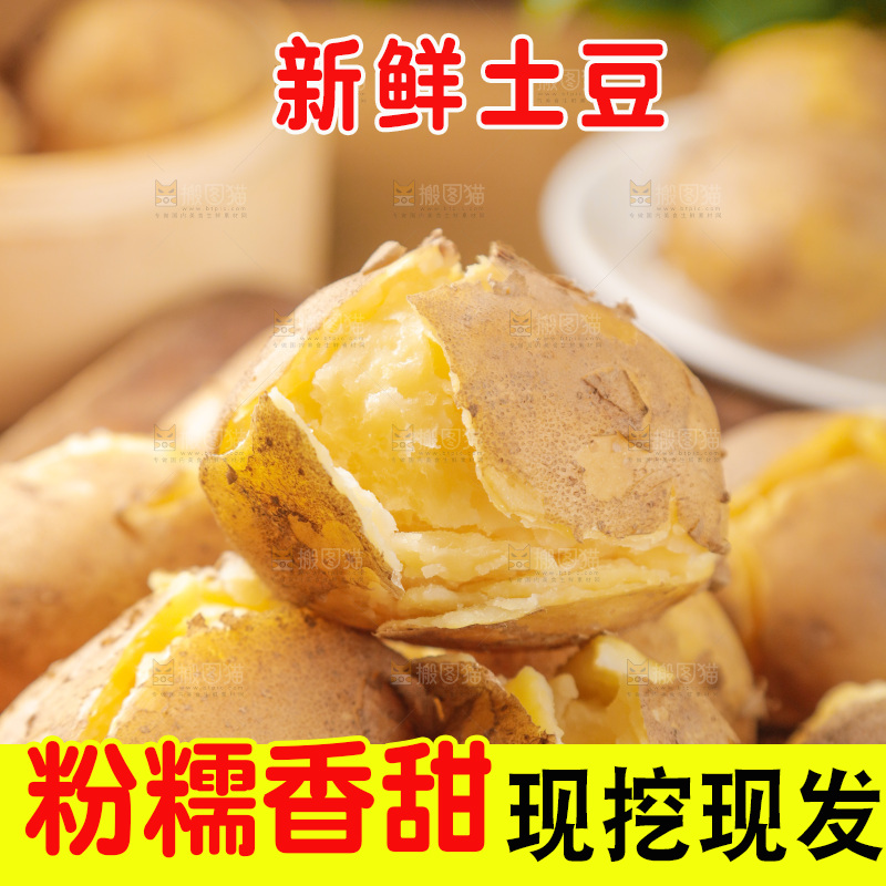 土豆