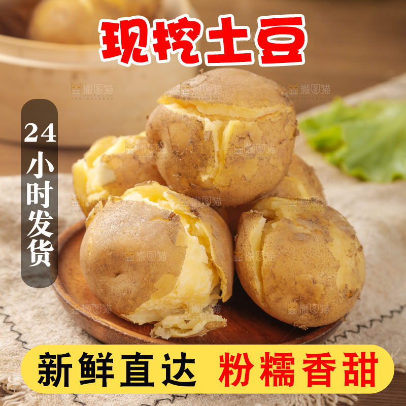 土豆