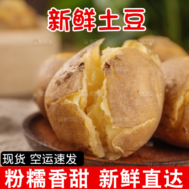 土豆