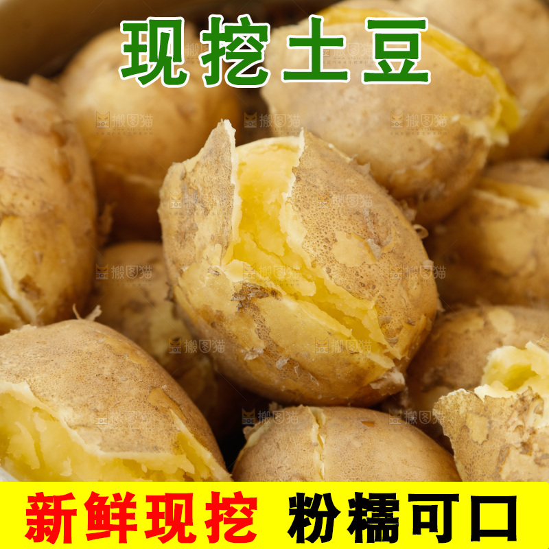 土豆