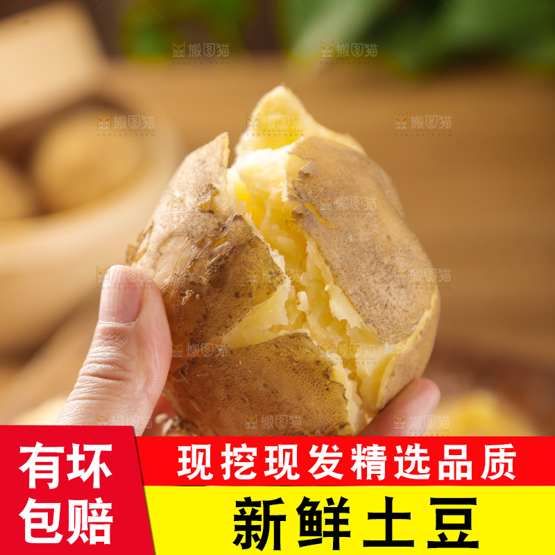 土豆
