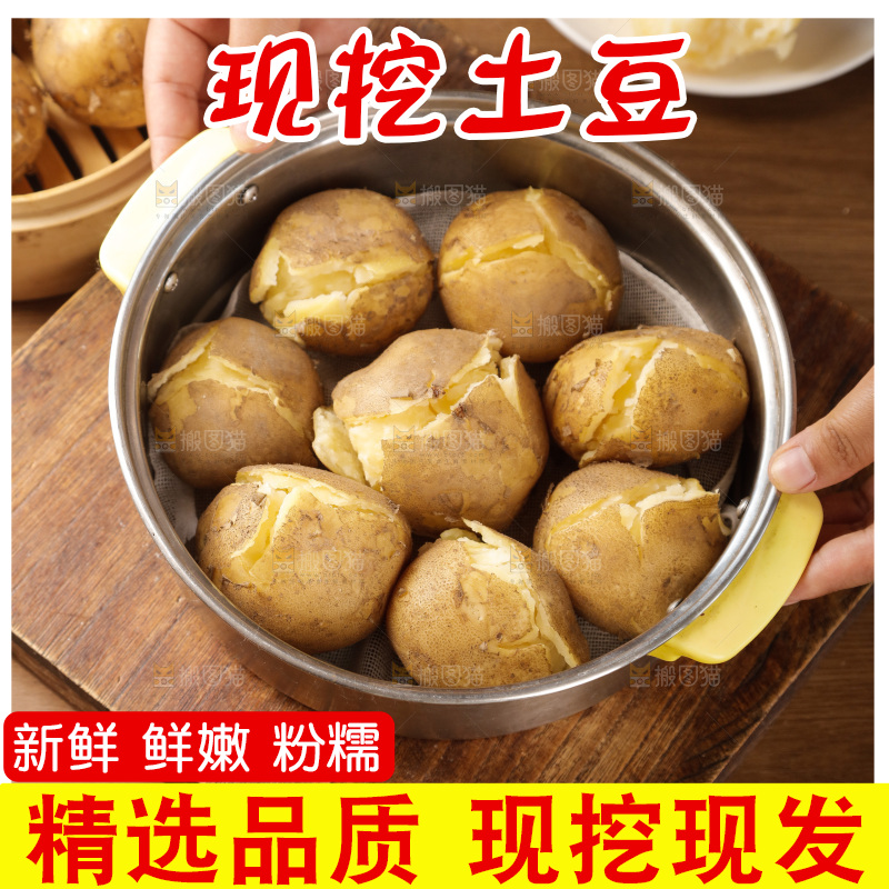 土豆