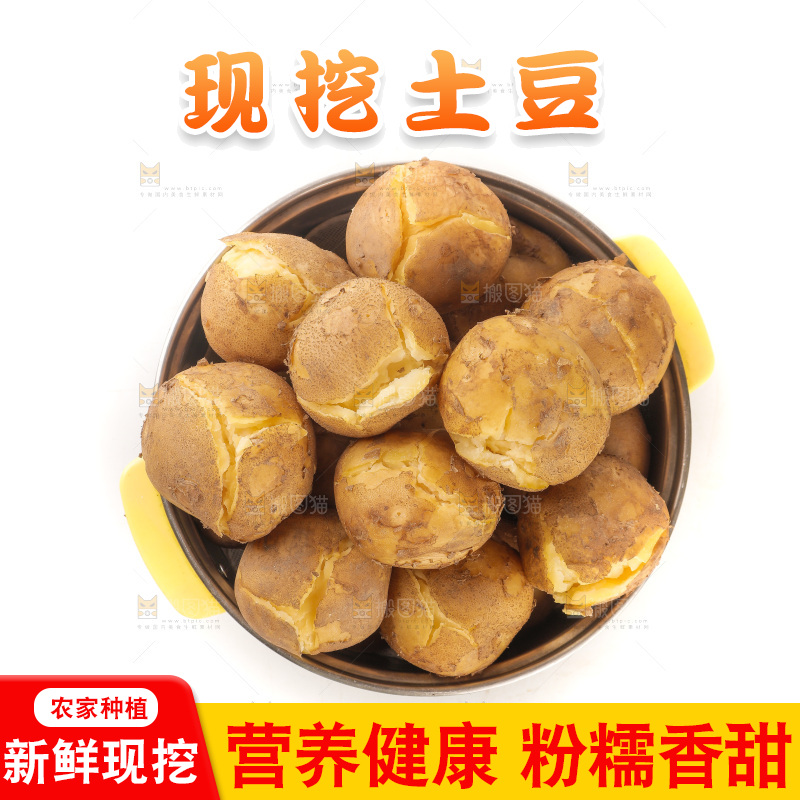 土豆