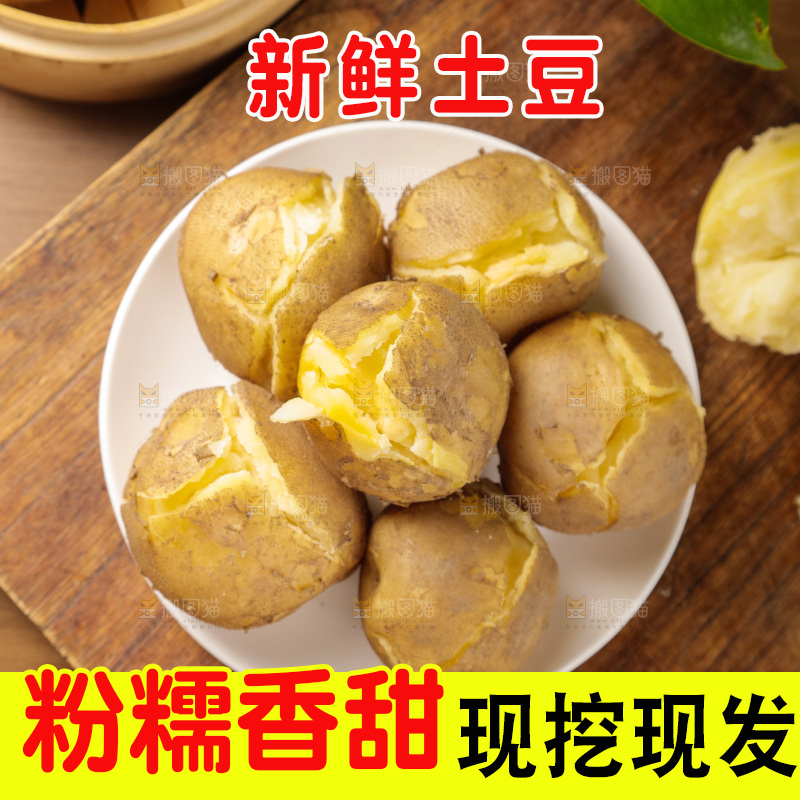 土豆