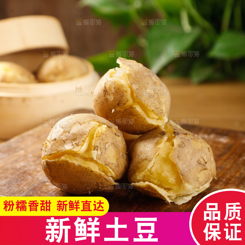 土豆