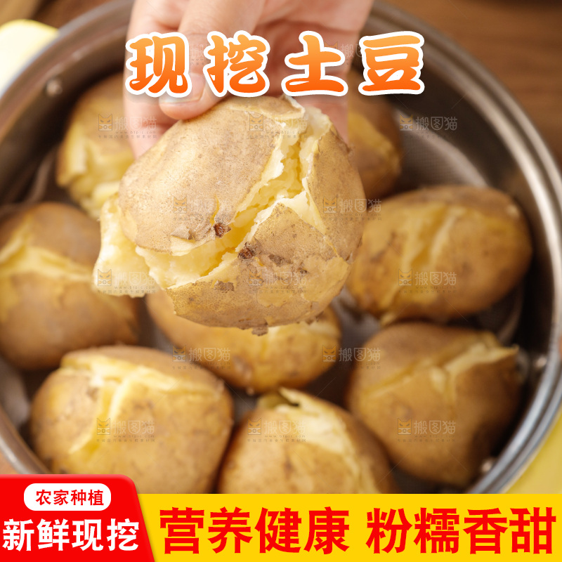 土豆