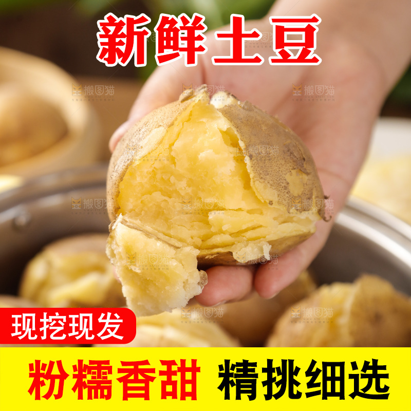 土豆