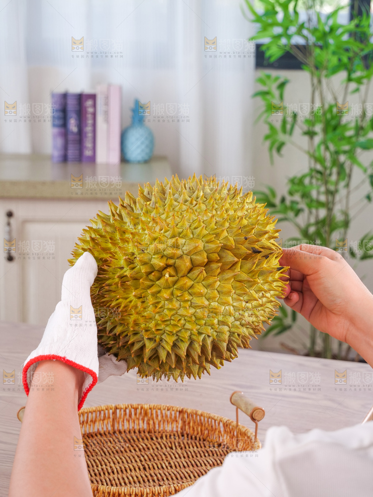 金枕榴莲
