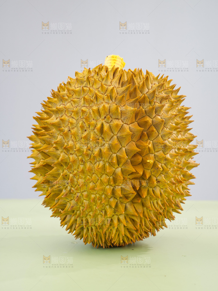 金枕榴莲