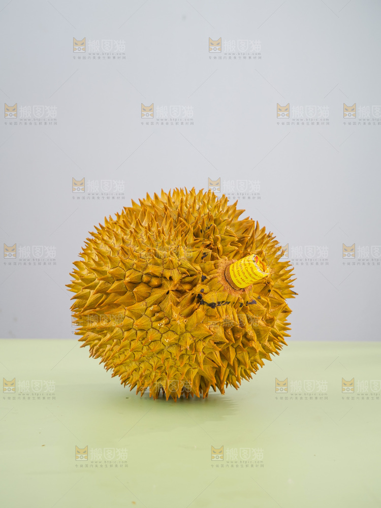 金枕榴莲
