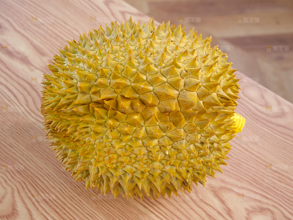 金枕榴莲
