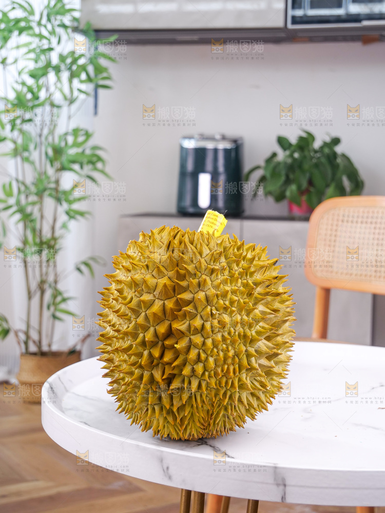 金枕榴莲