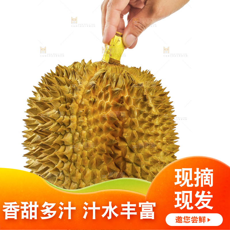 金枕榴莲