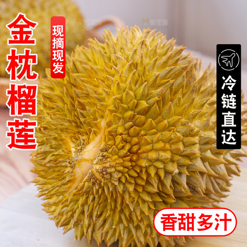 金枕榴莲